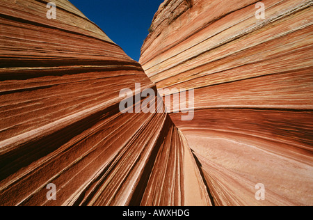 USA, Arizona, Paria Canyon-Vermilion Cliffs Wilderness, formations de roche de grès, Close up Banque D'Images