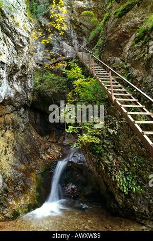 Les échelles et les cascades d'Horne Diery, Gorge de montagnes Mala Fatra, Slovaquie
