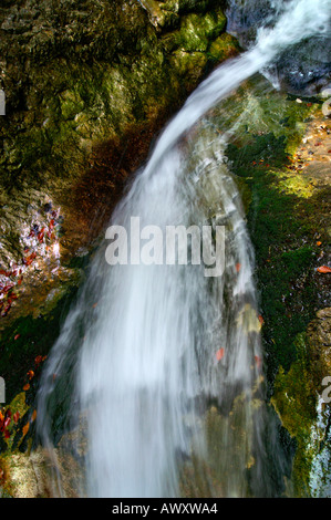 Cascades de teintes automnales Horne Diery, Gorge de montagnes Mala Fatra, Slovaquie