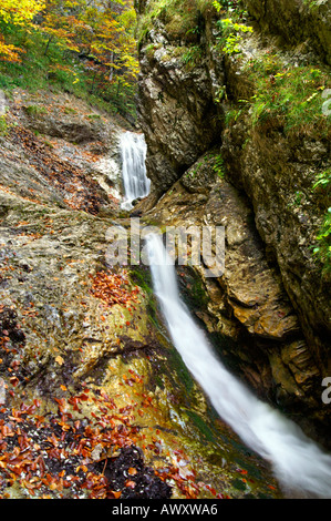 Cascades de teintes automnales Horne Diery, Gorge de montagnes Mala Fatra, Slovaquie
