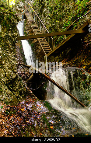 Les échelles et les cascades d'Horne Diery, Gorge de montagnes Mala Fatra, Slovaquie