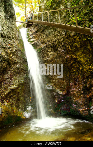 Les échelles et les cascades d'Horne Diery, Gorge de montagnes Mala Fatra, Slovaquie
