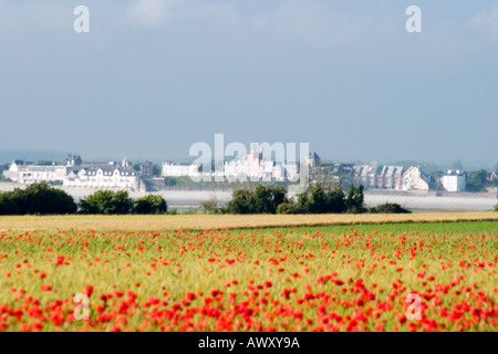 Vue sur la Baie de Somme vers Le Crotoy du Cap Hornu avec coquelicots dans un champ de maïs aux beaux jours Banque D'Images