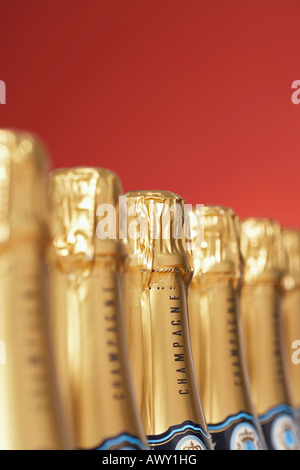 Rangée de bouteilles de champagne, close-up, selective focus Banque D'Images