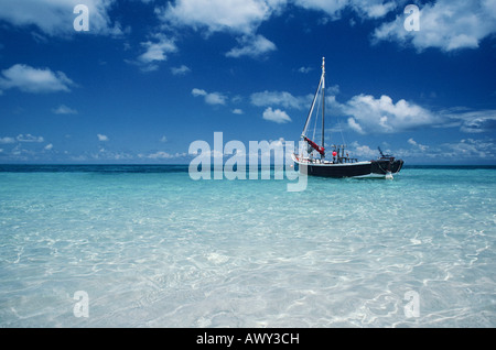 Bateau amarré dans une eau peu profonde, extrême nord du Queensland, Australie Banque D'Images