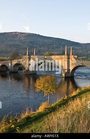 Général patauge Bridge en automne à Aberfeldy Scotland UK Banque D'Images