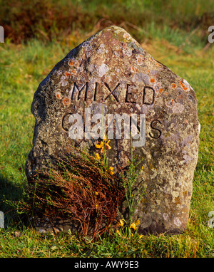 Bataille de Culloden Jacobite, pierre tombale d'Clans mixtes. Culloden Moor, près d'Inverness, Highland, Scotland, UK Banque D'Images