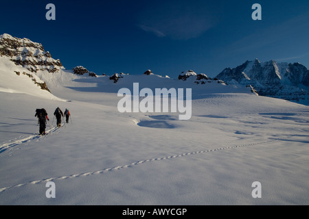 Trois alpinistes éviter crevasses lorsque le ski de randonnée sur un glacier du Groenland dans le soleil de minuit. Banque D'Images
