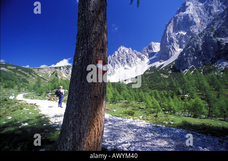 Rouge blanc rouge peint Marqueurs indiquant la route d'été pour les randonneurs dans les Alpes Dachstein Autriche Banque D'Images