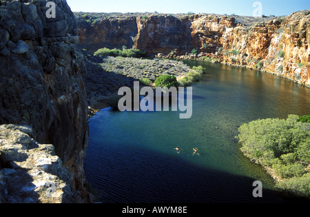 Meyers Manx dans natation écotouristes Creek Cape Range National Park près de Exmouth Australie Occidentale Banque D'Images