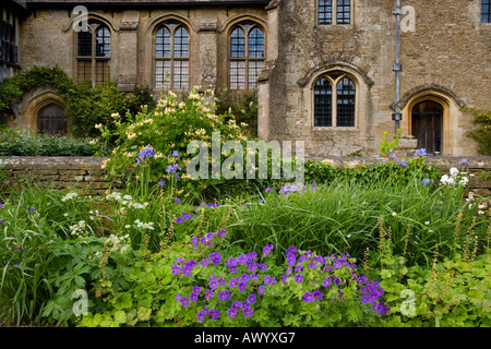 Hardy geraniums floraison dans le jardin avec la façade sud du quinzième siècle Great Chalfield Manor Wiltshire derrière Banque D'Images