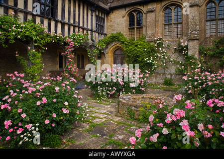 Scramble roses le long du bâtiment et autour du puits dans la cour intérieure à la 15ème C Great Chalfield Manor Wiltshire Banque D'Images