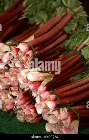 Bouquets de rhubarbe lié en vente sur un étal au marché de producteurs d'une piscine intérieure Banque D'Images