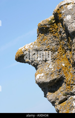 Visage-comme des formations calcaires à Langhammar Fårö, sur l'île de Gotland en Suède Banque D'Images