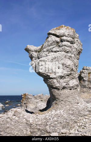 Visage-comme des formations calcaires à Langhammar Fårö, sur l'île de Gotland en Suède Banque D'Images