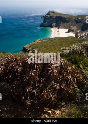 Cape Point dans la province du Cap en Afrique du Sud Banque D'Images