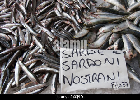 Sardines à l'Peschere Marché du Rialto Venise Italie Banque D'Images