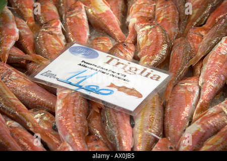 Triglia au marché du Rialto Pescheria fish market Venise Italie Banque D'Images