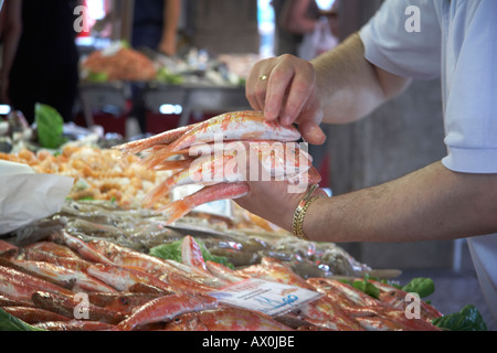 Poissonnier avec poignée de Triglia au marché du Rialto Pescheria fish market Venise Italie Banque D'Images