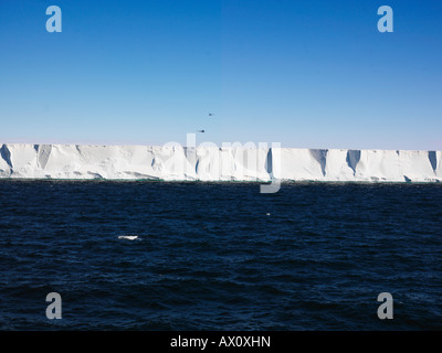 Plate-forme de Ross, edge allant de 40 à 80 mètres (130-260 pieds) de haut, avec deux hélicoptères volant au-dessus, l'Antarctique Banque D'Images