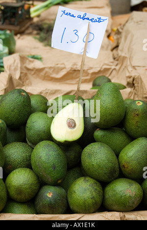 Les avocats à la vente à un marché couvert à Funchal, Madère, Portugal, Europe Banque D'Images