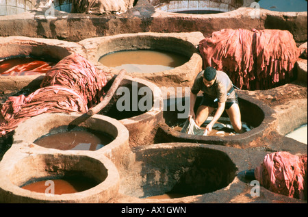 Barefoot tanner les peaux pummels dans l'ancienne tannerie à Chouwara tva mourir, Fes el Bali, Fes, Maroc, Afrique du Nord Banque D'Images