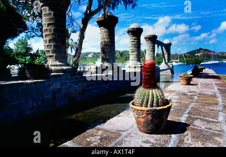 Nelsons Docker Antigua Turk's Cap cactus par l'ancien Boat House et Wet Dock piliers recouverts de béton pour les préserver Banque D'Images