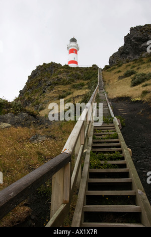 Escalier qui jusqu'au phare de Cape Palliser, île du Nord, Nouvelle-Zélande, Océanie Banque D'Images