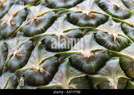 La texture, l'ananas (Ananas comosus) shell Banque D'Images