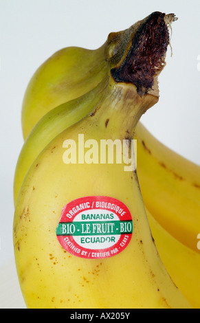 Banana avec étiquette du produit. La Banane du commerce équitable Bio Label Bio Certification Équateur Banque D'Images