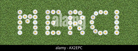 Merci merci merci en langue française de l'écrit avec des fleurs Banque D'Images