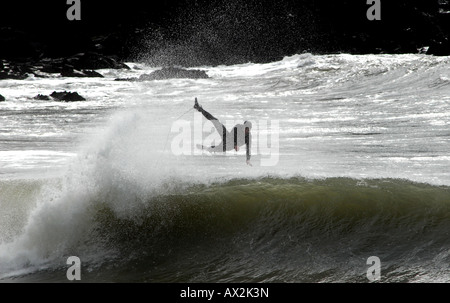 Un surfeur d'HIVER SE PLANTE DANS LES VAGUES COMME IL TRYS POUR MONTER LE SURF DANS LA BAIE CHALLABOROUGH,Devon, Angleterre.UK Banque D'Images