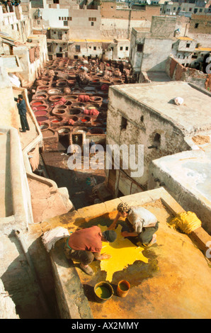 Les tanneurs de mourir sur la peau de chèvre terrasse surplombant l'ancienne tannerie à Chouwara cuves mourant dans la médina, Fes el Bali, Fes Maroc Banque D'Images