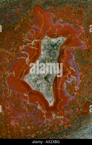 Agatized os de dinosaure Allosaur cross section montre la moelle épinière de fémur Amethyst Crystal Jurassique centres Utah Banque D'Images