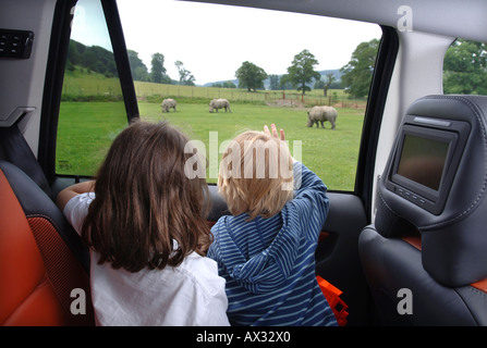 Les enfants agitant au rhinocéros blanc RHINOCÉROS DANS L'Enclos AU PARC SAFARI DE LONGLEAT WILTSHIRE près de Warminster Banque D'Images