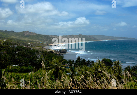 Côte Est de la Barbade à Bathsheba St Joseph Barbade Banque D'Images