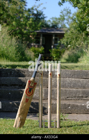 Un ENSEMBLE DE SOUCHES ET DE CRICKET DANS LE JARDIN À MANOR FARM PAR SOMERSET GARDEN DESIGNER SIMON JOHNSON UK Banque D'Images