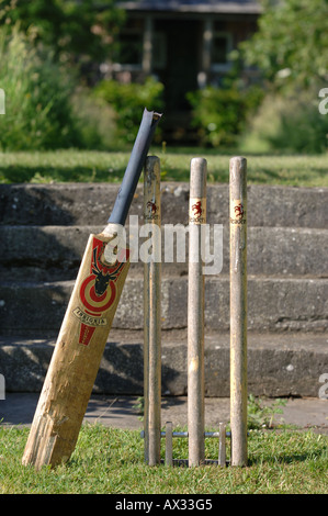 Un ENSEMBLE DE SOUCHES ET DE CRICKET DANS LE JARDIN À MANOR FARM PAR SOMERSET GARDEN DESIGNER SIMON JOHNSON UK Banque D'Images