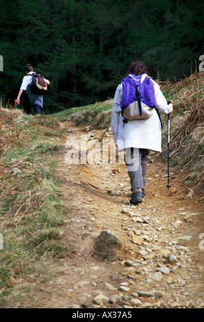 Les randonneurs sur le chemin de Ben Lomond Ecosse Banque D'Images