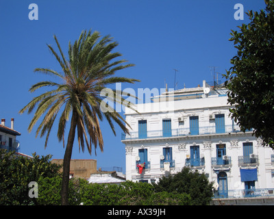 Place Port Saïd, Alger, Algérie Banque D'Images