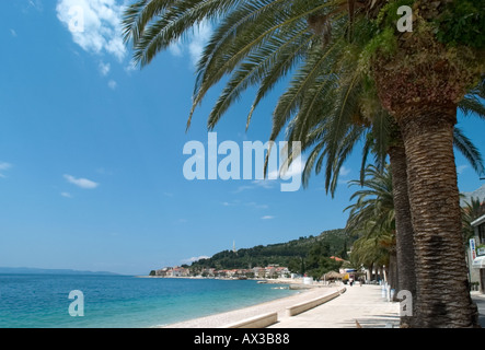 Plage et de la promenade, Podgora, Makarska Riviera, de la côte dalmate, Croatie Banque D'Images