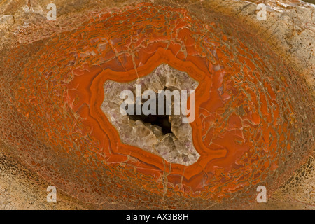 Agatized os de dinosaure Allosaur cross section montre la moelle épinière de fémur Amethyst Crystal Jurassique centres Utah Banque D'Images
