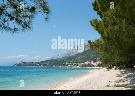 Plage, Tucepi, Makarska Riviera, de la côte dalmate, Croatie Banque D'Images