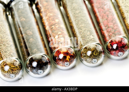 Variété d'épices séchées dans les verres, close-up Banque D'Images