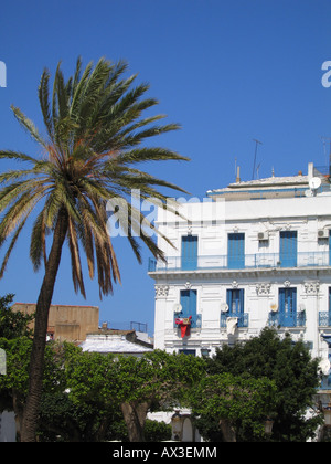 Place Port Saïd, Alger, Algérie Banque D'Images