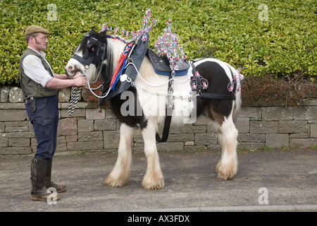 Cheval Clydesdale Banque D'Images