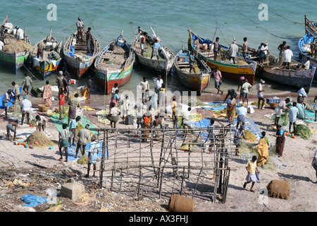 Les bateaux de pêche et les pêcheurs arrivent à la rive pour sécher le poisson , Tamil Nadu , Inde du Sud Banque D'Images