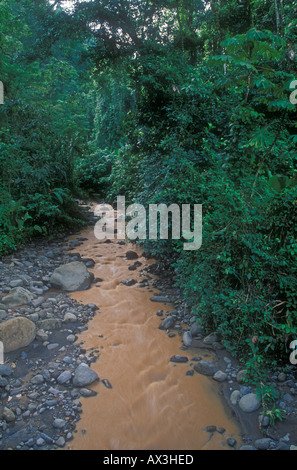 Envasés zyx ruisseau qui à travers la forêt de pluie dans la région de Arenal Costa Rica Banque D'Images