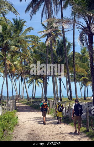 Brésil, Bahia, l'île de Boipeba. Les randonneurs en passant par une plantation de palmier Dende Dende utilisée pour faire l'huile. Banque D'Images