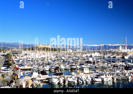 Ville Antibes port Vauban Alpes-maritimes 06 Cote d'azur Paca France Europe Banque D'Images